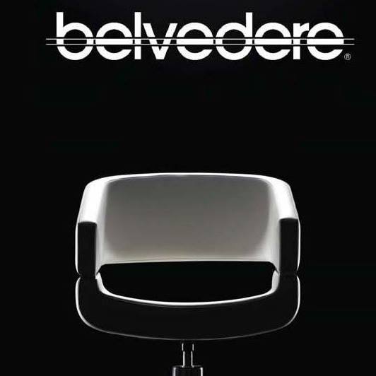 Belvedere Salon Chair